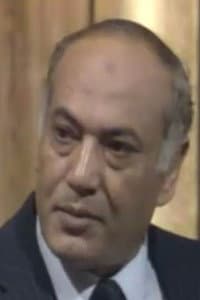 Attiya Dawood in Still Standing