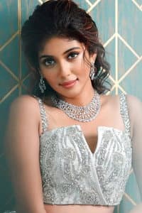 Cerrena Ann Johnson in Midnight in Mullankolli