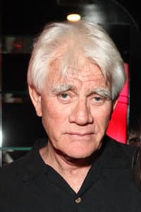 Tim Thomerson in The Wrong Guys