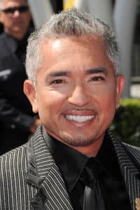 Cesar Millan in Cesar Millan: Doggie Nightmares