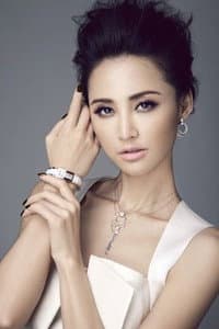 Zhang Xinyi in 人在囧途