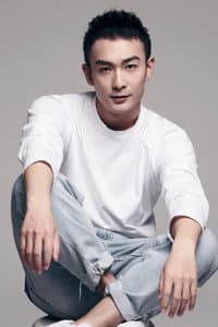 He Junhao in 大军师司马懿之军师联盟