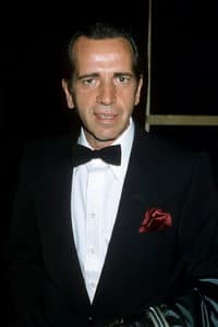 Robert Sacchi in The Man with Bogart's Face