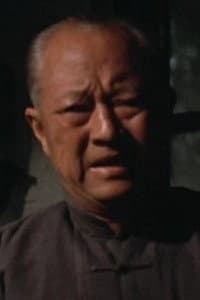 Wong Yuet-Ting in Wang zhao jun