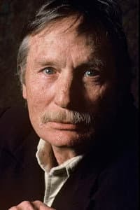 Edward Bunker in Reservoir Dogs Revisited
