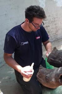 Axel Tarifa in Rhino Man