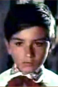 Răzvan Petrescu in Codin