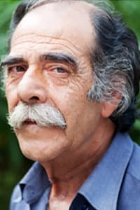 Thanasis Nakos in Alopècia androgènica