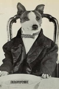 Brownie the Wonder Dog in Brownie's Little Venus