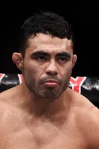 Rafael Natal in UFC Fight Night 31: Fight For The Troops 3