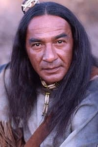 Larry Sellers in Dr. Quinn Medicine Woman: The Movie