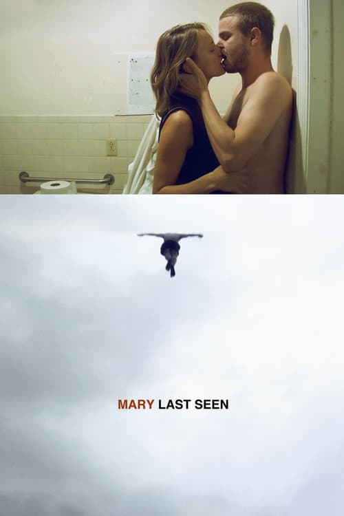 Mary Last Seen (2010) poster