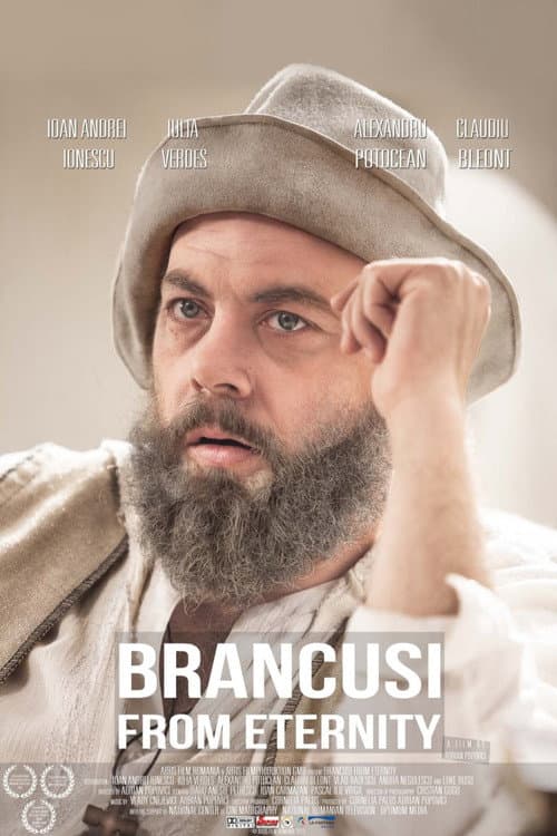 Brâncusi din eternitate (2014) poster