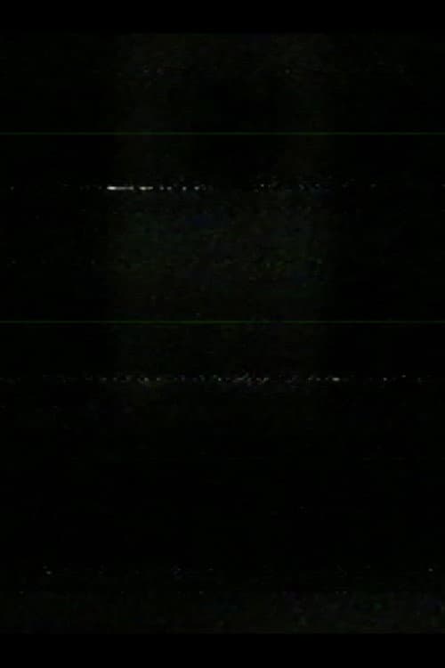 window at night (2025) poster