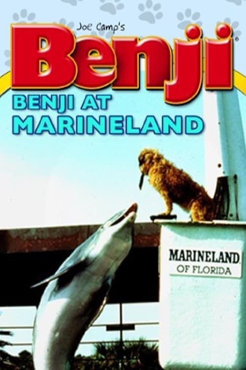 Benji (Takes a Dive) at Marineland (1981) poster
