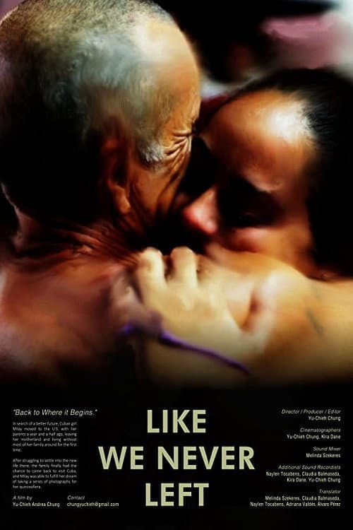 Like We Never Left (2016) poster