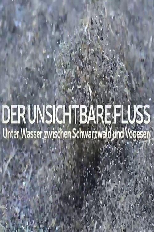 Un fleuve invisible (2019) poster