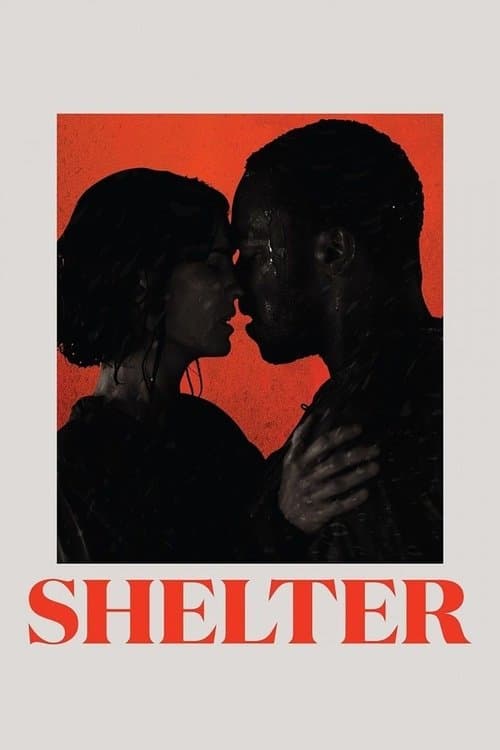 Shelter (2014) poster