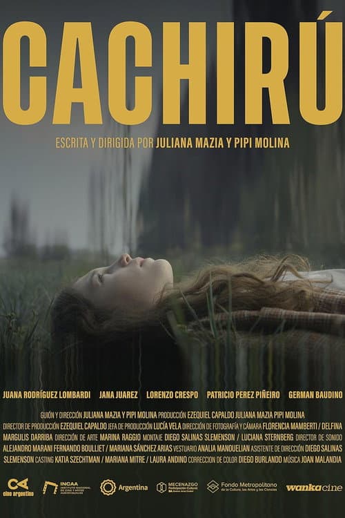 Cachirú (2023) poster