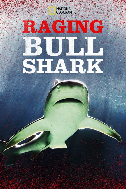 Raging Bull Shark (2020) poster