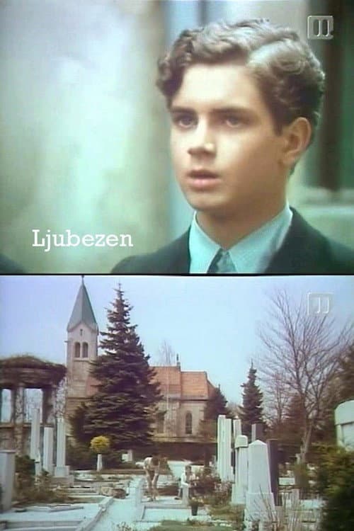 Ljubezen (1984) poster