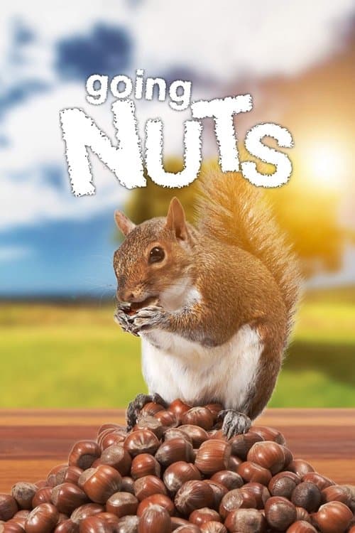 Die verrückte Welt der Hörnchen (2019) poster