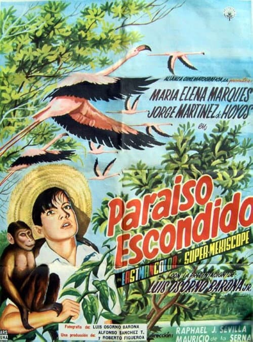 Paraíso escondido (1961) poster