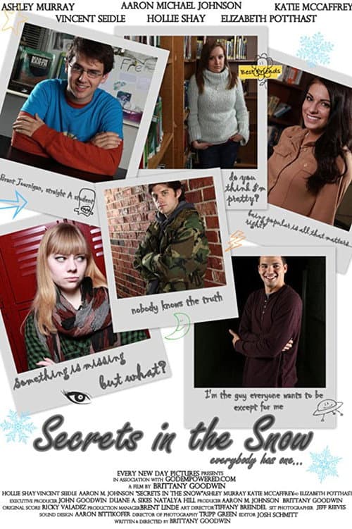 Secrets in the Snow (2013) poster