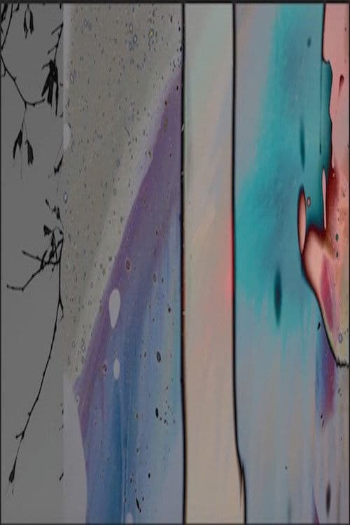 "An Extra Wander: For Chick..." (2019) poster