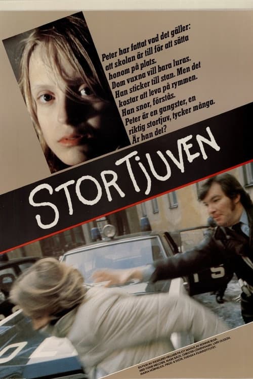 Stortjuven (1979) poster