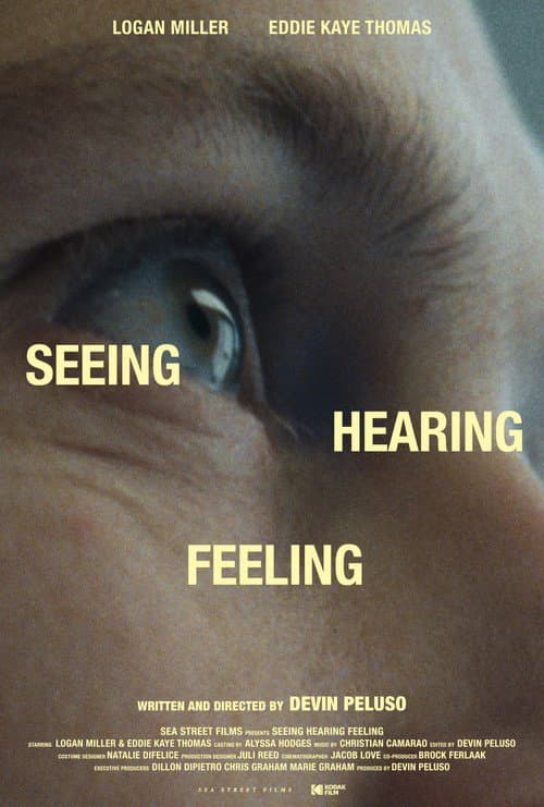 Seeing Hearing Feeling (2025) poster