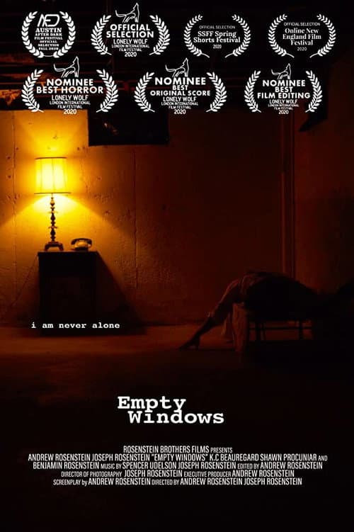Empty Windows (2020) poster