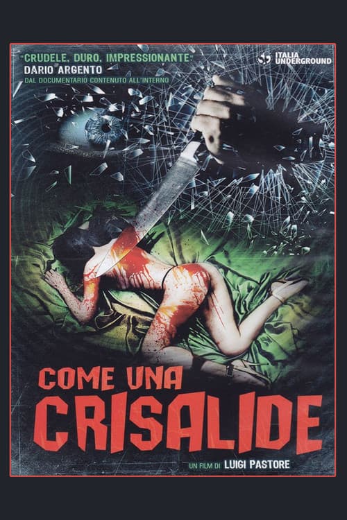 Come Una Crisalide (2010) poster