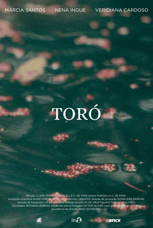 Toró (2024) poster