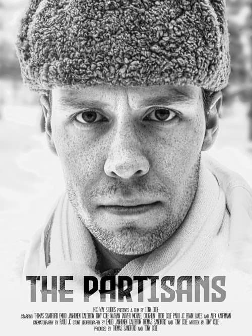 Partiomies (2023) poster