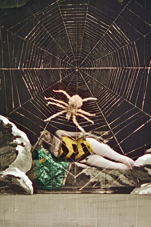 La Ruche merveilleuse (1905) poster