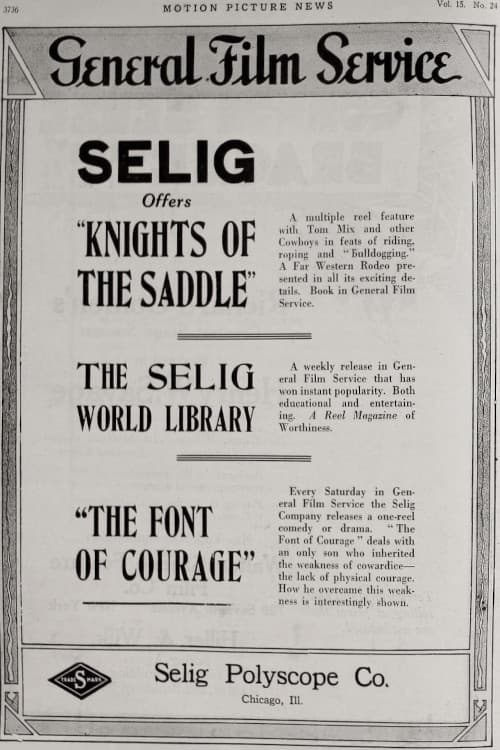 Knight of the Saddle (1917) poster