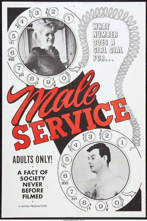 Male Service (1966) poster