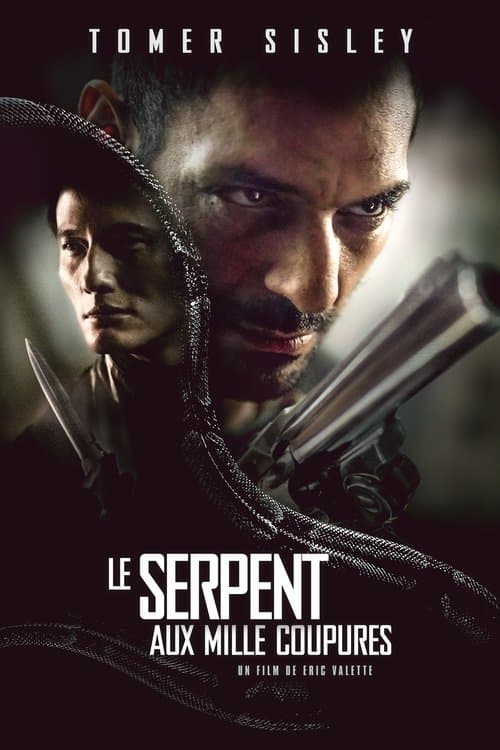 Le Serpent aux mille coupures (2017) poster