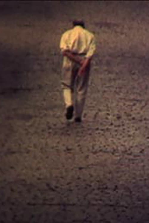 Acidente (2006) poster