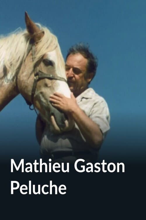 Mathieu Gaston Peluche (1980) poster