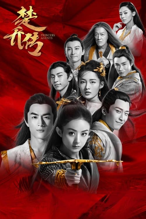 特工皇妃楚乔传 (2017) poster