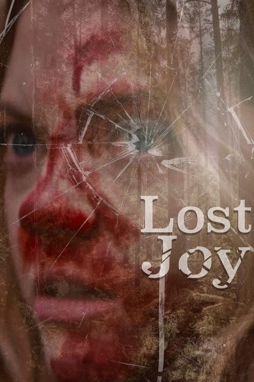Lost Joy (2025) poster