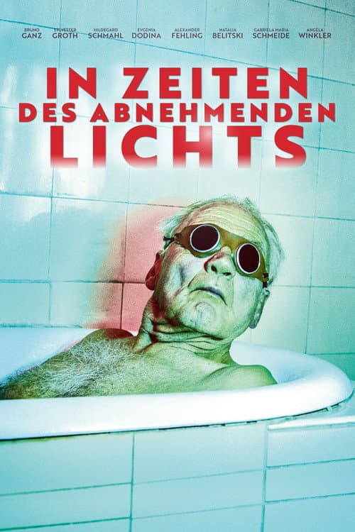 In Zeiten des abnehmenden Lichts (2017) poster