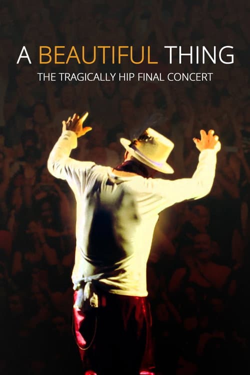 A Beautiful Thing (2026) poster