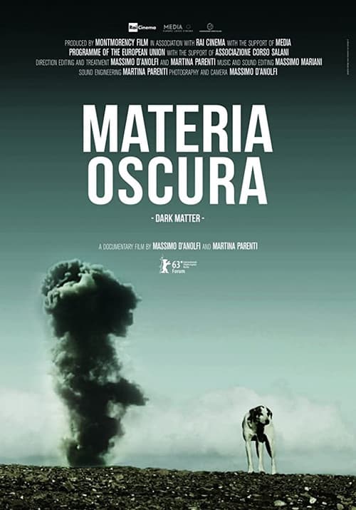 Materia oscura (2013) poster