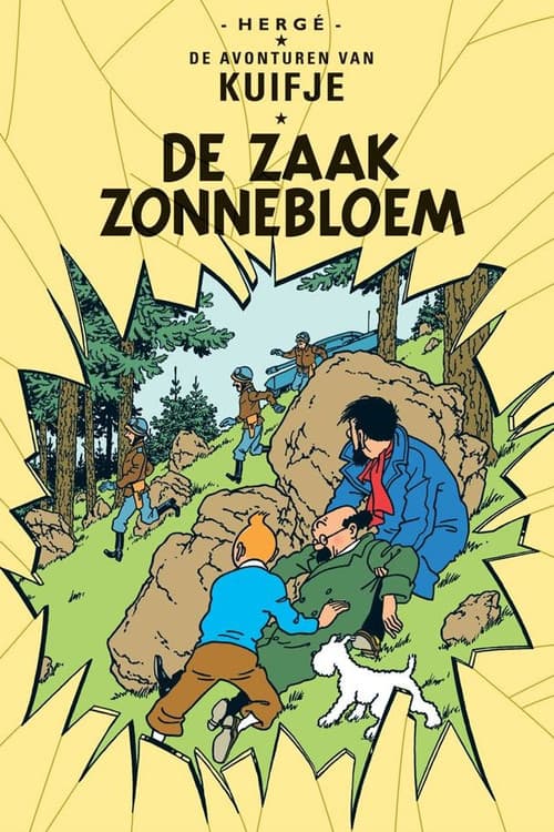 De Zaak Zonnebloem (1991) poster
