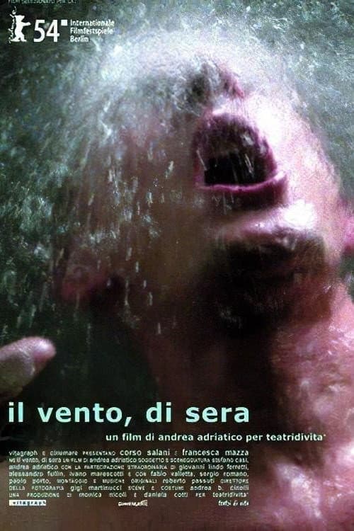 Il vento, di sera (2004) poster