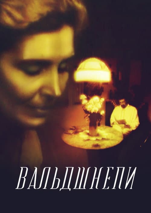 Вальдшнепи (1996) poster