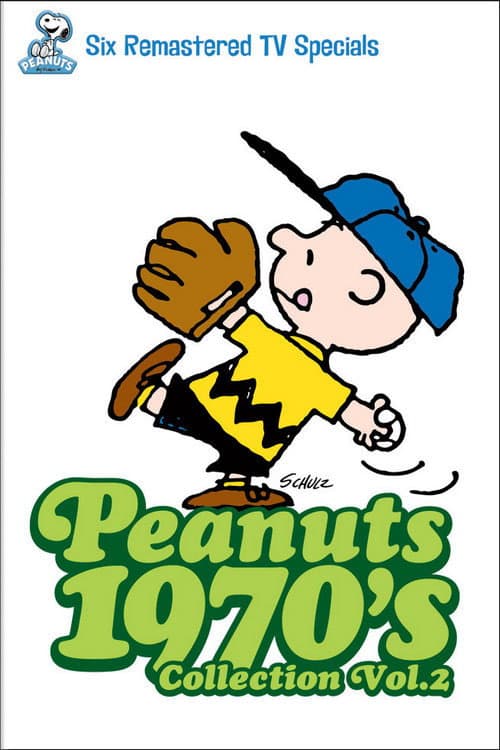 You're Groovy, Charlie Brown: A Look at Peanuts in the 70's (2010) poster